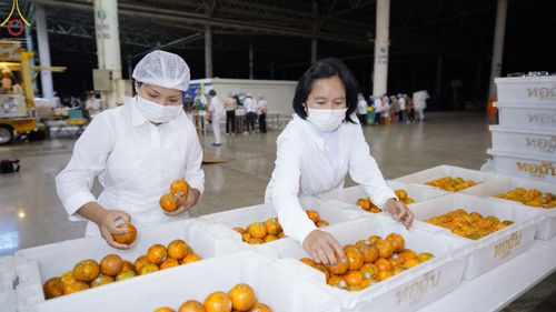 ภาพ No.74993:พิธีถวายภัตตาหารเป็นสังฆทาน แด่คณะพระธรรมยาตราฯ ในโครงการธรรมยาตรากตัญญูบูชา มหาปูชนียาจารย์ พระมงคลเทพมุนี(สด จนฺทสโร) พระผู้ปราบมาร อนุสรณ์สถาน 7 แห่ง ปีที่ 11 วันที่ 30 มกราคม พ.ศ. 2566