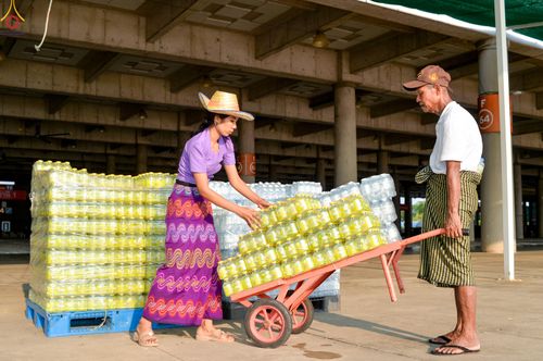 ภาพ No.323059:วันที่ 19 เมษายน พ.ศ.2569 การเรียงกล่องไทยธรรม , เตรียมงานจราจร เพื่องานถวายมหาสังฆทาน 40,000 กว่าวัดทั่วประเทศ วันคุ้มครองโลก 22 เมษายน พ.ศ.2569 วัดพระธรรมกาย