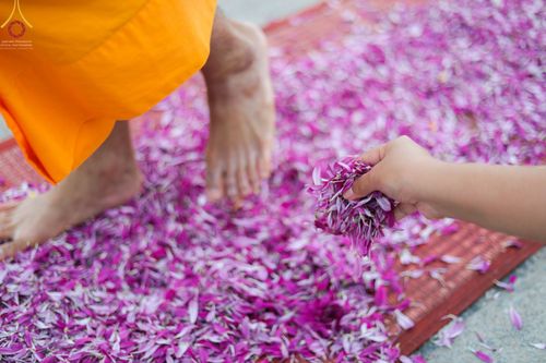 พิธีต้อนรับพระธรรมยาตรา ในโครงการธรรมยาตรากตัญญูบูชา มหาปูชนียาจารย์ พระมงคลเทพมุนี(สด จนฺทสโร) พระผู้ปราบมาร อนุสรณ์สถาน 7 แห่ง ปีที่ 11 วันที่ 3 มกราคม พ.ศ. 2566 ณ อนุสรณ์สถานมหาวิหารพระมงคลเทพมุนี จ.สุพรรณบุรี