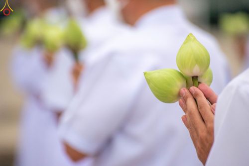 ภาพ No.87892:พิธีบรรพชาอุปสมบท ในโครงการอุปสมบทหมู่บูชาธรรม วันครูผู้ค้นพบวิชชาธรรมกาย ณ วัดพระธรรมกาย ในวันเสาร์ที่ 16 กันยายน พ.ศ.2566