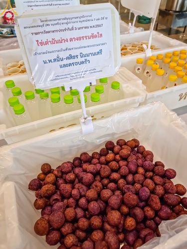 ภาพ No.105567:พิธีถวายภัตตาหารเป็นสังฆทาน แด่คณะพระธรรมยาตราฯ ในโครงการธรรมยาตรากตัญญูบูชา มหาปูชนียาจารย์ พระมงคลเทพมุนี(สด จนฺทสโร) พระผู้ปราบมาร อนุสรณ์สถาน 7 แห่ง ปีที่ 12 วันที่ 3 มกราคม พ.ศ. 2567 ณ สภาธรรมกายสากล วัดพระธรรมกาย