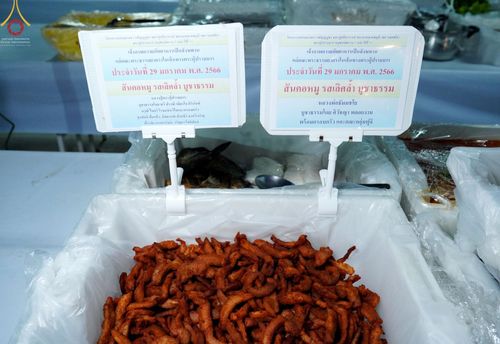 ภาพ No.74951:พิธีถวายภัตตาหารเป็นสังฆทาน แด่คณะพระธรรมยาตราฯ ในโครงการธรรมยาตรากตัญญูบูชา มหาปูชนียาจารย์ พระมงคลเทพมุนี(สด จนฺทสโร) พระผู้ปราบมาร อนุสรณ์สถาน 7 แห่ง ปีที่ 11 วันที่ 29 มกราคม พ.ศ. 2566