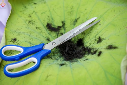 ภาพ No.317948:วันพฤหัสบดีที่ 2 เมษายน พ.ศ.2569 พิธีปลงผม , พิธีขอขมามอบบาตรและผ้าไตร , พิธีบรรพชาสามเณร จำนวน 28 รูป   ณ วัดโซกเป็ดอภิญญาโณ ต.เมืองเก่า อ.เมือง จ.สุโขทัย