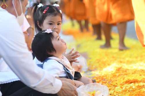 ภาพ No.72439:พิธีต้อนรับพระธรรมยาตรา ในโครงการธรรมยาตรากตัญญูบูชา มหาปูชนียาจารย์ พระมงคลเทพมุนี(สด จนฺทสโร) พระผู้ปราบมาร อนุสรณ์สถาน 7 แห่ง ปีที่ 11 วันที่ 18 มกราคม พ.ศ. 2566 ณ อนุสรณ์สถานลำดับที่ 4 สถานที่เกิดด้วยกายธรรม วัดโบสถ์ (บน) บางคูเวียง อ.บางกรวย จ.นนทบุ