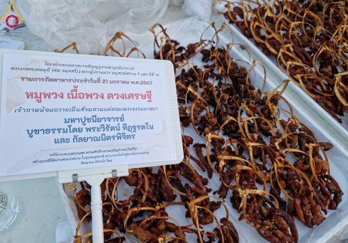 ภาพ No.116383:พิธีถวายภัตตาหารเป็นสังฆทาน แด่คณะพระธรรมยาตรา ปีที่ 12 วันที่ 21 มกราคม พ.ศ. 2567 ณ วัดโบสถ์(บน) บางคูเวียง จ.นนทบุรี