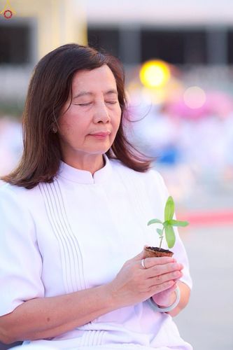 ภาพ No.252994:วันที่ 10 ตุลาคม พ.ศ. 2568 พิธีปลูกต้นทรัพย์บานชื่น ณ ลานธรรม วัดพระธรรมกาย