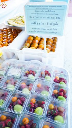 ภาพ No.74557:พิธีถวายภัตตาหารเป็นสังฆทาน แด่คณะพระธรรมยาตราฯ ในโครงการธรรมยาตรากตัญญูบูชา มหาปูชนียาจารย์ พระมงคลเทพมุนี(สด จนฺทสโร) พระผู้ปราบมาร อนุสรณ์สถาน 7 แห่ง ปีที่ 11 วันที่ 27 มกราคม พ.ศ. 2566