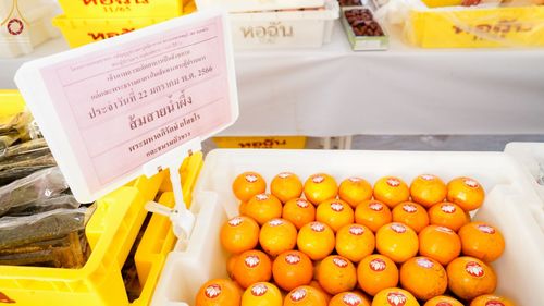 ภาพ No.73814:พิธีถวายภัตตาหารเป็นสังฆทาน แด่คณะพระธรรมยาตราฯ ในโครงการธรรมยาตรากตัญญูบูชา มหาปูชนียาจารย์ พระมงคลเทพมุนี(สด จนฺทสโร) พระผู้ปราบมาร อนุสรณ์สถาน 7 แห่ง ปีที่ 11 วันที่ 22 มกราคม พ.ศ. 2566