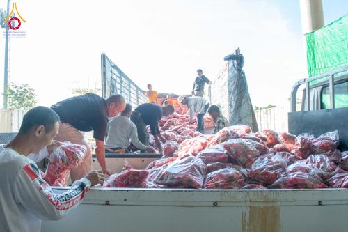 ภาพ No.279477:วันที่ 19-26 ธันวาคม พ.ศ. 2568 และ วันที่ 1 มกราคม พ.ศ.2569 รับบุญปลิดกลีบดอกไม้ เพื่อโปรยต้อนรับพระธรรมยาตรา