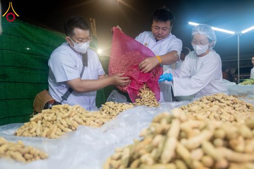 ภาพ No.297821:วันที่ 19 มกราคม พ.ศ. 2569 พิธีถวายภัตตาหารเป็นสังฆทาน แด่พระธรรมยาตรา ณ อนุสรณ์สถานบางปลา วัดบางปลา อำเภอบางเลน จังหวัดนครปฐม ในโครงการธรรมยาตรา กตัญญูบูชา มหาปูชนียาจารย์ พระมงคลเทพมุนี(สด จนฺทสโร) พระผู้ปราบมาร อนุสรณ์สถาน 7 แห่ง ปีที่ 14