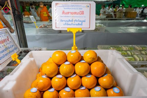 ภาพ No.301824:วันที่ 24 มกราคม พ.ศ. 2569 พิธีถวายภัตตาหารเป็นสังฆทาน แด่พระธรรมยาตรา ณ อนุสรณ์สถานบางปลา วัดบางปลา อำเภอบางเลน จังหวัดนครปฐม ในโครงการธรรมยาตรา กตัญญูบูชา มหาปูชนียาจารย์ พระมงคลเทพมุนี(สด จนฺทสโร) พระผู้ปราบมาร อนุสรณ์สถาน 7 แห่ง ปีที่ 14