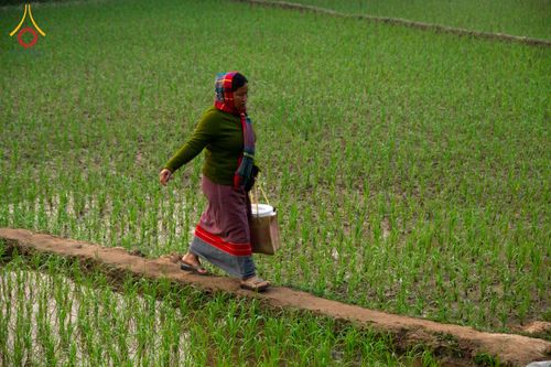 ภาพ No.309990:วันที่ 3-8 กุมภาพันธ์ พ.ศ. 2569 ธรรมยาตราบังกลาเทศ (Rajban Vihar - Khagrachri) ณ ประเทศบังกลาเทศ (Bangladesh)