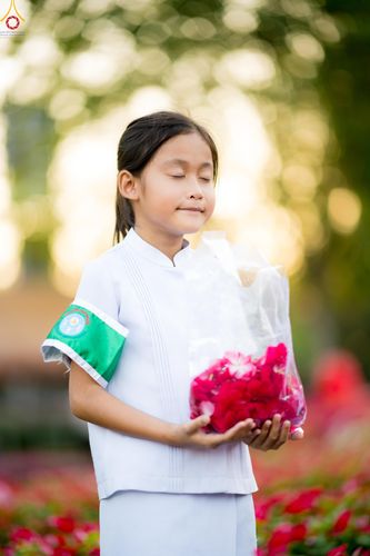 ภาพ No.281038:วันที่ 28 ธันวาคม พ.ศ.2568 กิจกรรมเก็บดอกแพงรวย ณ ทุ่งสวรรค์ตะวันฉาย วัดพระธรรมกาย