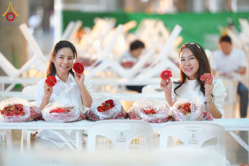 ภาพ No.303328:วันที่ 15-21 มกราคม พ.ศ.2569 ปลิดกลีบดอกเบญจทรัพย์ เพื่อโปรยต้อนรับพระธรรมยาตรา ในโครงการธรรมยาตรา กตัญญูบูชา มหาปูชนียาจารย์ พระมงคลเทพมุนี(สด จนฺทสโร) พระผู้ปราบมาร อนุสรณ์สถาน 7 แห่ง ปีที่ 14 ณ วิหารคด วัดพระธรรมกาย