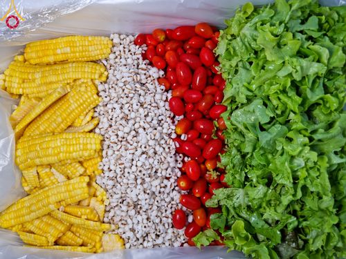 ภาพ No.108456:ถวายภัตตาหารเป็นสังฆทาน แด่คณะพระธรรมยาตราฯ ในโครงการธรรมยาตรากตัญญูบูชา มหาปูชนียาจารย์ พระมงคลเทพมุนี(สด จนฺทสโร) พระผู้ปราบมาร อนุสรณ์สถาน 7 แห่ง ปีที่ 12 วันที่ 7 มกราคม พ.ศ. 2567 ณ อนุสรณ์สถานโลตัสแลนด์ จ.สุพรรณบุรี