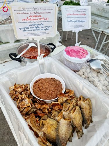 ภาพ No.112891:พิธีถวายภัตตาหารเป็นสังฆทาน แด่คณะพระธรรมยาตรา ปีที่ 12 วันที่ 15 มกราคม พ.ศ. 2567 ณ วัดสองพี่น้อง จ.สุพรรณบุรี