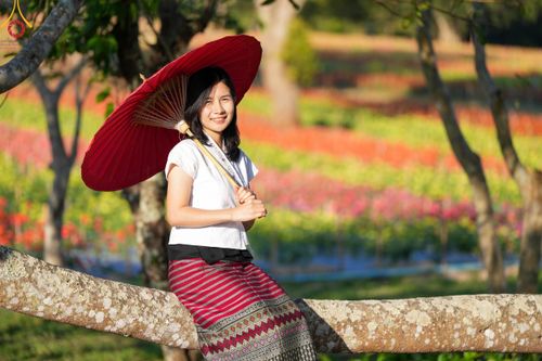 ภาพ No.104336:บรรยากาศ ทุ่งดอกทรัพย์บานชื่น ณ สวนพนาวัฒน์ อ.ฮอด จ.เชียงใหม่ ช่วงระหว่างวันที่ 20 - 25 ธันวาคม พ.ศ. 2566