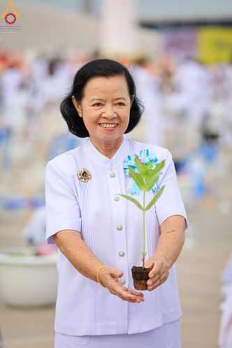 ภาพ No.160425:พิธีปลูกต้นทรัพย์บานชื่น ณ ลานธรรม พระมหาธรรมกายเจดีย์ วัดพระธรรมกาย จ.ปทุมธานี วันพฤหัสบดีที่ 10 ตุลาคม พ.ศ. 2567