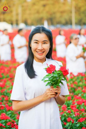 ภาพ No.185469:กิจกรรมเก็บดอกแพงรวย วันอาทิตย์ที่ 22 ธันวาคม พ.ศ. 2567 ณ ทุ่งสวรรค์ ตะวันฉาย วัดพระธรรมกาย