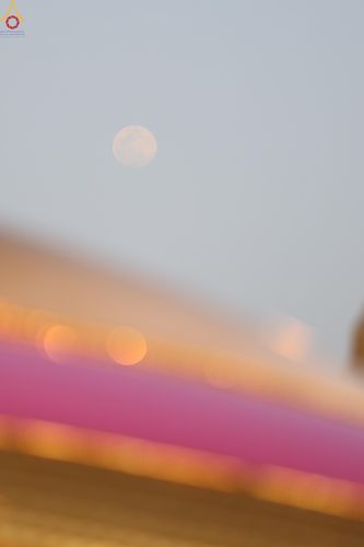 ภาพ No.307673:วันที่ 31 มกราคม พ.ศ. 2569 พิธีจุดประทีปธรรมถวายเป็นพุทธบูชา  และบูชาธรรมมหาปูชนียาจารย์ (ภาพชุดที่ 2) ณ วัดพระธรรมกาย ปทุมธานี ในโครงการธรรมยาตรา กตัญญูบูชา มหาปูชนียาจารย์ พระมงคลเทพมุนี(สด จนฺทสโร) พระผู้ปราบมาร อนุสรณ์สถาน 7 แห่ง ปีที่ 14