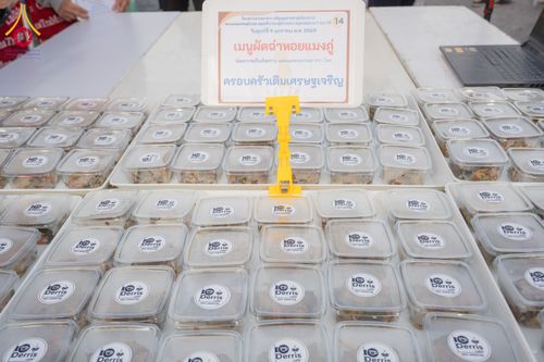 ภาพ No.290894:วันที่ 9 มกราคม พ.ศ. 2569 พิธีถวายภัตตาหารเป็นสังฆทาน แด่พระธรรมยาตรา ณ อนุสรณ์สถานคลองบางนางแท่น อ.สามพราน จ.นครปฐม ในโครงการธรรมยาตรา กตัญญูบูชา มหาปูชนียาจารย์ พระมงคลเทพมุนี(สด จนฺทสโร) พระผู้ปราบมาร อนุสรณ์สถาน 7 แห่ง ปีที่ 14