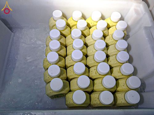 ภาพ No.200325:พิธีถวายภัตตาหารเป็นสังฆทาน แด่พระธรรมยาตรา ณ อนุสรณ์สถานบางปลา วัดบางปลา อำเภอบางเลน จังหวัดนครปฐม ในโครงการธรรมยาตรา กตัญญูบูชา มหาปูชนียาจารย์ พระมงคลเทพมุนี(สด จนฺทสโร) พระผู้ปราบมาร อนุสรณ์สถาน 7 แห่ง ปีที่ 13 วันที่ 23 มกราคม พ.ศ. 2568