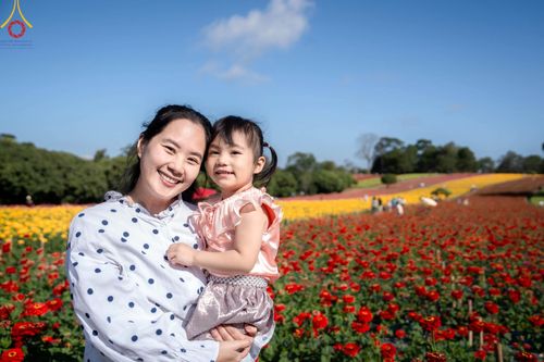 ภาพ No.188274:บรรยากาศ ทุ่งสวรรค์หรรษาพนาวัฒน์ ณ สวนพนาวัฒน์ อ.ฮอด จ.เชียงใหม่ เปิดให้เข้าชมฟรี ระหว่างวันที่ 28 ธันวาคม พ.ศ. 2567 ถึง วันที่ 3 มกราคม พ.ศ. 2568 เวลา 08.00-17.00 น.