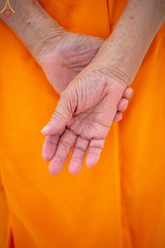 ภาพ No.92413:พิธีกรานกฐิน วันอาทิตย์ที่ 5 พฤศจิกายน พ.ศ. 2566 (แรม 7 ค่ำ เดือน 11) ณ อุโบสถ วัดพระธรรมกาย