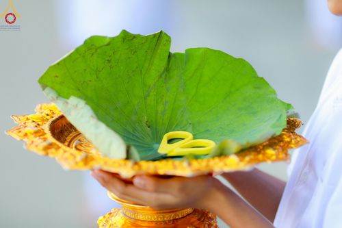 ภาพ No.132606:พิธีปลงผมยุวธรรมทายาท รุ่นที่ 32 มัชฌิมธรรมทายาท รุ่นที่ 28 ณ ลานธรรม วัดพระธรรมกาย วันเสาร์ที่ 30 มีนาคม พ.ศ. 2567