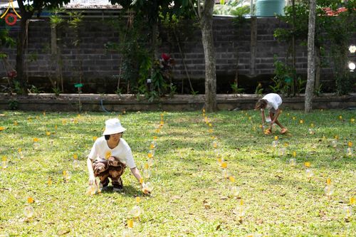 ภาพ No.155923:การเตรียมงานกิจกรรม light of peace จุดประทีปรวมใจเพื่อสันติภาพโลก ณ พิพิธภัณฑ์ Arma เกาะบาหลี สาธารณรัฐอินโดนีเซีย วันเสาร์ที่ 21 กันยายน พ.ศ. 2567 วันสันติภาพโลก
