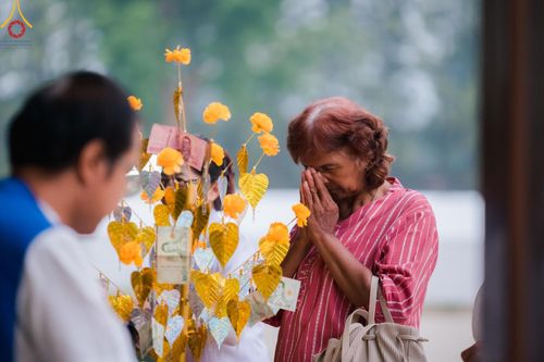 ภาพ No.135235:พิธีขอขมารับผ้าไตร, พิธีบรรพชา ในโครงการบรรพชาสามเณร ฟื้นฟูพระพุทธศาสนาทั่วไทย ณ ศูนย์อบรมเยาวชนกาญจนบุรี วันที่ 6 เมษายน พ.ศ. 2567