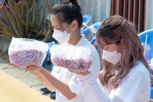 ภาพ No.113063:พิธีต้อนรับพระธรรมยาตรา ปีที่ 12 วันที่ 15 มกราคม พ.ศ. 2567 ณ วัดโบสถ์บน จ.นนทบุรี