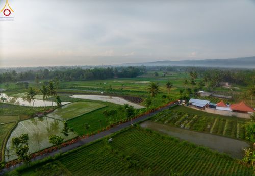 ภาพ No.105139:สามเณรธรรมทายาทชาวอินโดนีเซียกว่า 1,000 รูป เดินธรรมยาตรา บูชาพระสัมมาสัมพุทธเจ้า ณ มหาเจดีย์บุโรพุทโธ ประเทศอินโดนีเซีย ในวันที่ 27 ธันวาคม พ.ศ. 2566