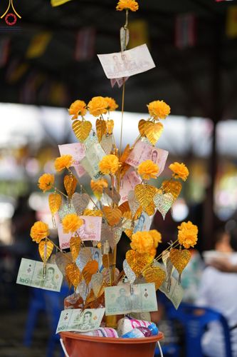 ภาพ No.163235:โครงการกฐินสามัคคีทั่วไทย 30,000 วัด บูชาธรรม 80 ปี หลวงพ่อธัมมชโย โดย คณะศิษยานุศิษย์วัดพระธรรมกาย ณ วัดประดิษฐ์ธรรม จ.สระบุรี วันที่ 19 ตุลาคม พ.ศ. 2567