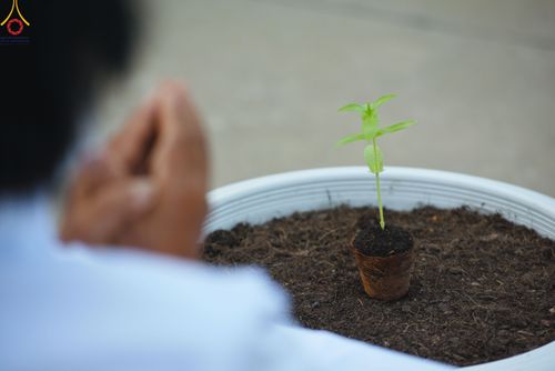 ภาพ No.90158:พิธีปลูกทรัพย์บานชื่น  เนื่องใน 139 ปี วันคล้ายวันเกิดด้วยรูปกายเนื้อ พระมงคลเทพมุนี (สด จนฺทสโร) พระผู้ปราบมาร วันอังคารที่ 10 ตุลาคม พ.ศ. 2566 ณ วัดพระธรรมกาย จ.ปทุมธานี