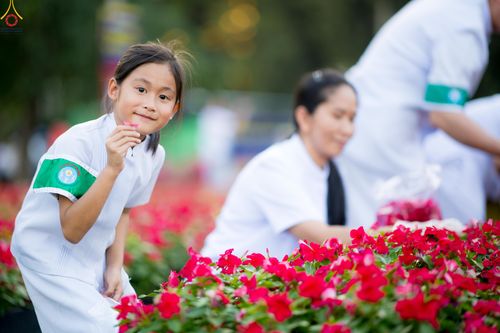 ภาพ No.281056:วันที่ 28 ธันวาคม พ.ศ.2568 กิจกรรมเก็บดอกแพงรวย ณ ทุ่งสวรรค์ตะวันฉาย วัดพระธรรมกาย