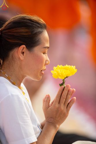 ภาพ No.110579:พิธีต้อนรับพระธรรมยาตรา ในโครงการธรรมยาตรากตัญญูบูชา มหาปูชนียาจารย์ พระมงคลเทพมุนี(สด จนฺทสโร) พระผู้ปราบมาร อนุสรณ์สถาน 7 แห่ง ปีที่ 12 วันที่ 11 มกราคม พ.ศ. 2567 ณ อนุสรณ์สถานลำดับที่ 3 สถานที่เกิดใหม่ในเพศสมณะ วัดสองพี่น้อง จ.สุพรรณบุรี