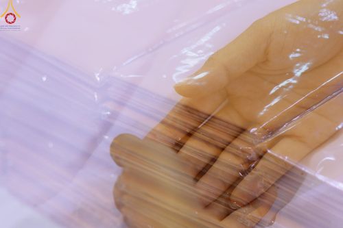 ภาพ No.154759:พิธีทอดผ้าป่าสมทบกฐินวัดพระธรรมกาย และสมทบกฐิน 30,000 วัดทั่วไทย ครั้งที่ 2 ณ สภาธรรมกายสากล วัดพระธรรมกาย วันอังคารที่ 17 กันยายน พ.ศ. 2567