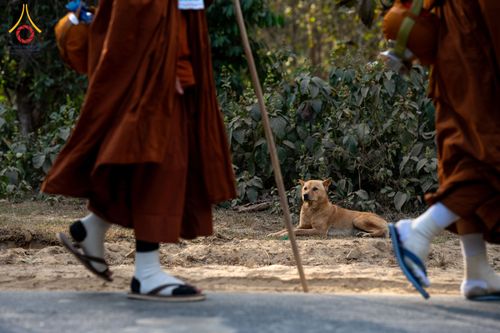 ภาพ No.309951:วันที่ 3-8 กุมภาพันธ์ พ.ศ. 2569 ธรรมยาตราบังกลาเทศ (Rajban Vihar - Khagrachri) ณ ประเทศบังกลาเทศ (Bangladesh)