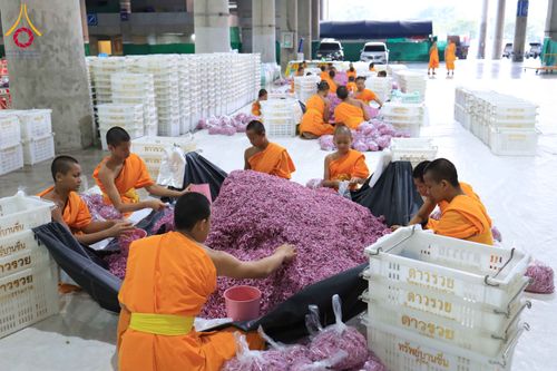 ภาพ No.303242:วันที่ 15-21 มกราคม พ.ศ.2569 ปลิดกลีบดอกเบญจทรัพย์ เพื่อโปรยต้อนรับพระธรรมยาตรา ในโครงการธรรมยาตรา กตัญญูบูชา มหาปูชนียาจารย์ พระมงคลเทพมุนี(สด จนฺทสโร) พระผู้ปราบมาร อนุสรณ์สถาน 7 แห่ง ปีที่ 14 ณ วิหารคด วัดพระธรรมกาย