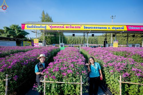 ภาพ No.186313:จิตอาสาอนุรักษ์สิ่งแวดล้อม รับบุญเก็บดอกเบญจทรัพย์ เพื่องานต้อนรับพระธรรมยาตรา ณ "ทุ่งสวรรค์ ตะวันฉาย" วัดพระธรรมกาบ วันที่ 22 ธันวาคม พ.ศ. 2567