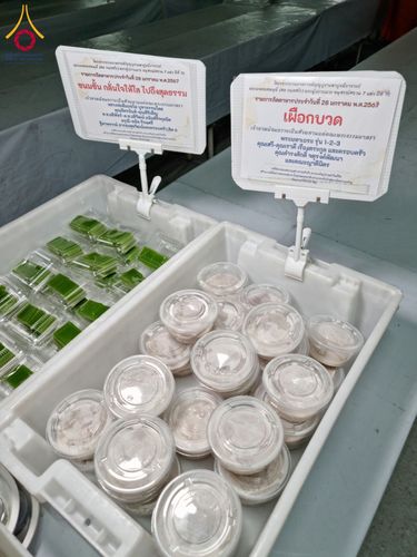 ภาพ No.119943:พิธีถวายภัตตาหารเป็นสังฆทาน แด่คณะพระธรรมยาตรา ปีที่ 12 วันที่ 28 มกราคม พ.ศ. 2567 ณ อนุสรณ์สถานบางปลา จ.นครปฐม