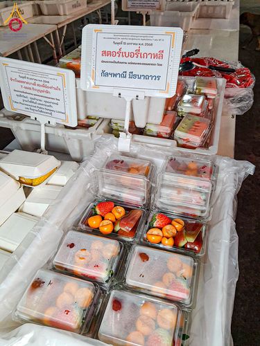 ภาพ No.195623:สาธุชนถวายภัตตาหารเป็นสังฆทาน แด่พระธรรมยาตรา ณ วัดสองพี่น้อง ต.ต้นตาล อ.สองพี่น้อง จ.สุพรรณบุรี ในโครงการธรรมยาตรา กตัญญูบูชา มหาปูชนียาจารย์ พระมงคลเทพมุนี(สด จนฺทสโร) พระผู้ปราบมาร อนุสรณ์สถาน 7 แห่ง ปีที่ 13 วันที่ 15 มกราคม พ.ศ. 2568