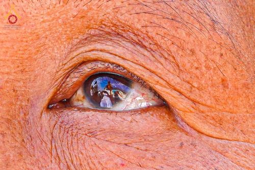 ภาพ No.75781:พิธีตัดปอยผม และ ปลงผมนาคธรรมทายาท ในโครงการบรรพชาสามเณรหมู่ครั้งที่ 3 วันที่ 9 กุมภาพันธ์ พ.ศ. 2566 ณ วัดเบงกาลี เมืองคากาจารี ประเทศบังกลาเทศ