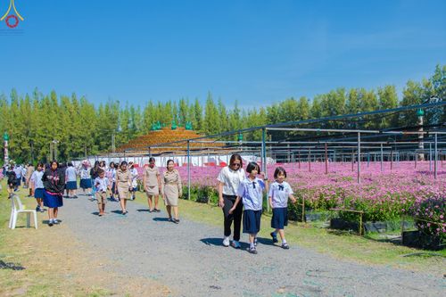 ภาพ No.104279:โครงการตอบปัญหาธรรมะทางก้าวหน้า ครั้งที่ 41 รอบชิงชนะเลิศระดับชาติ วันเสาร์ที่ 23 ธันวาคม พ.ศ. 2566 ณ ห้องแก้วสารพัดนึก วัดพระธรรมกาย จัดโดย ชมรมพุทธศาสตร์สากล