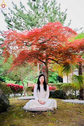 ภาพ No.136505:คณะพระภิกษุสงฆ์และกัลยาณมิตรชาวสิงคโปร์ เดินทางมาปฏิบัติธรรม ณ วัดป่าธรรมกายนานาชาติโทชิหงิ ประเทศญี่ปุ่น ระหว่างวันที่ 27 เมษายน  - 2 พฤษภาคม พ.ศ. 2567