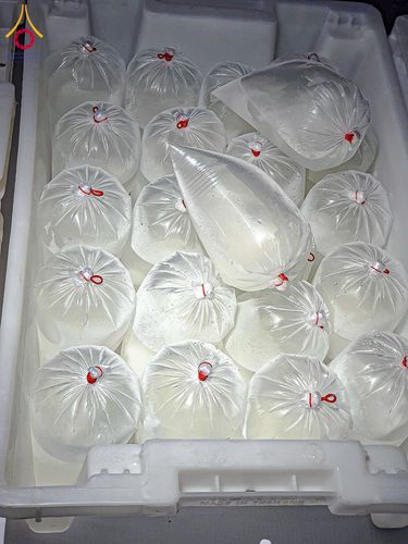 ภาพ No.200328:พิธีถวายภัตตาหารเป็นสังฆทาน แด่พระธรรมยาตรา ณ อนุสรณ์สถานบางปลา วัดบางปลา อำเภอบางเลน จังหวัดนครปฐม ในโครงการธรรมยาตรา กตัญญูบูชา มหาปูชนียาจารย์ พระมงคลเทพมุนี(สด จนฺทสโร) พระผู้ปราบมาร อนุสรณ์สถาน 7 แห่ง ปีที่ 13 วันที่ 23 มกราคม พ.ศ. 2568