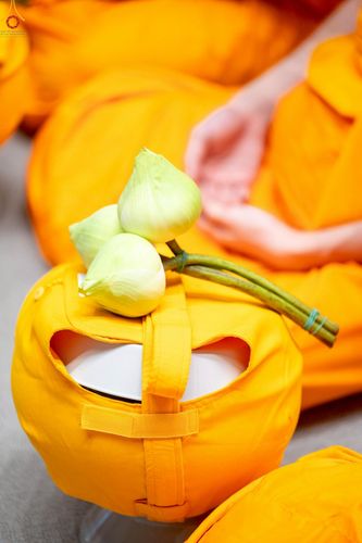 ภาพ No.229277:วันเสาร์ที่ 14 มิถุนายน พ.ศ. 2568 พิธีบรรพชา , พิธีถวายบาตร , พิธีอุปสมบท ในโครงการบรรพชาอุปสมบทหมู่ ผู้บริหารรุ่นที่ 15 และ อุดมศึกษา รุ่นที่ 52 ณ โบสถ์พระไตรปิฎก วัดพระธรรมกาย