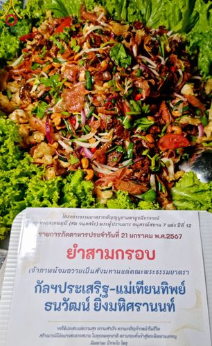 ภาพ No.116345:พิธีถวายภัตตาหารเป็นสังฆทาน แด่คณะพระธรรมยาตรา ปีที่ 12 วันที่ 21 มกราคม พ.ศ. 2567 ณ วัดโบสถ์(บน) บางคูเวียง จ.นนทบุรี