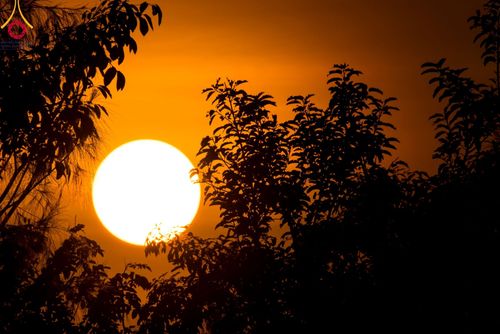 ภาพ No.109637:พิธีจุดประทีปถวายเป็นพุทธบูชา และบูชาธรรมมหาปูชนียาจารย์ วันที่ 10 มกราคม พ.ศ. 2567 ณ อนุสรณ์สถานคลองบางนางแท่น อ.สามพราน จ.นครปฐม